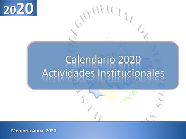 Memoria anual 2020